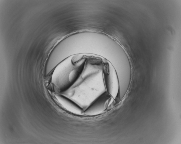 X0000113570001200910161529