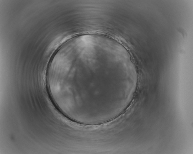 X0000113570002200910161528