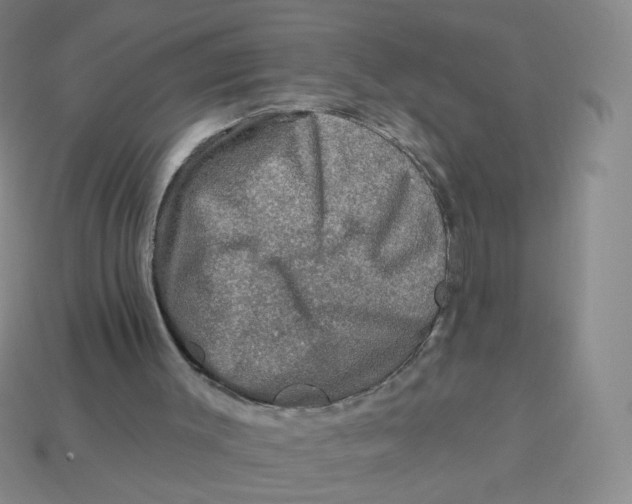 X0000113570003200910161528