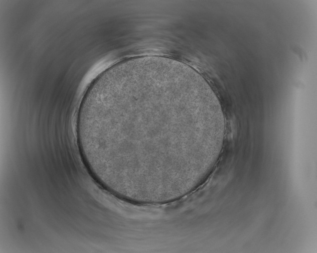 X0000113570004200910161528