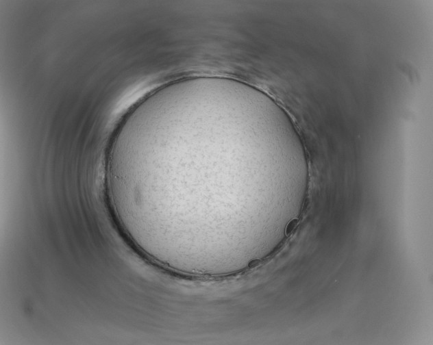 X0000113570005200910161528