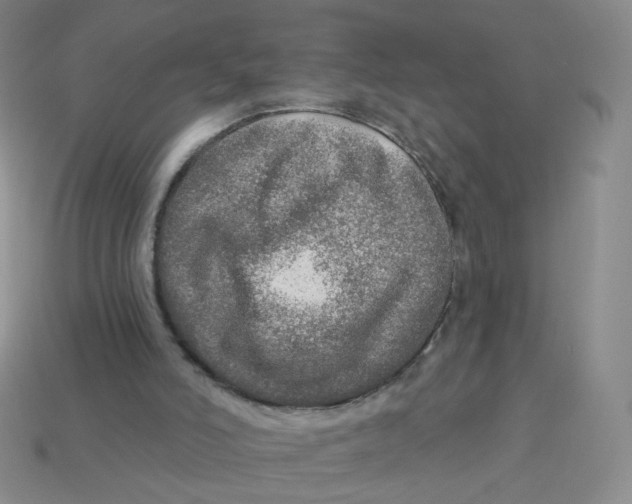 X0000113570006200910161528