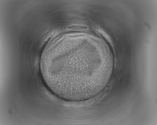 X0000113570009200910161528