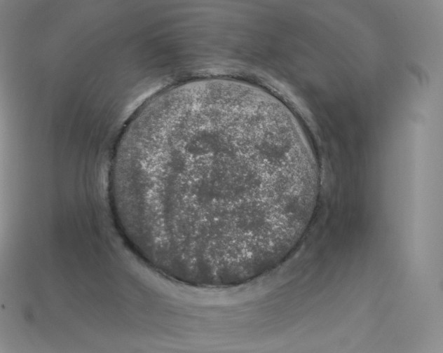 X0000113570010200910161528