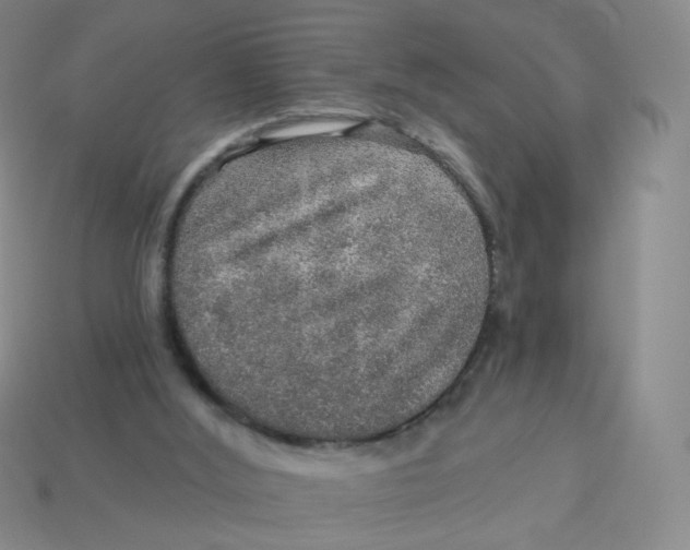 X0000113570012200910161528