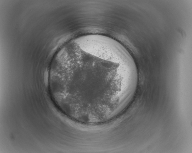 X0000113570014200910161528