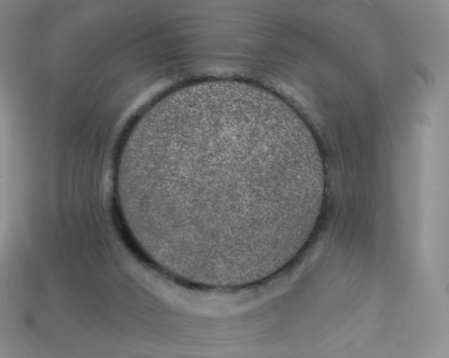 X0000113570016200910161528