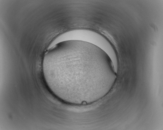 X0000113570017200910161528