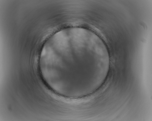 X0000113570018200910161528