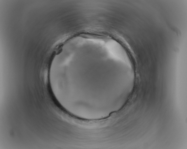 X0000113570019200910161528