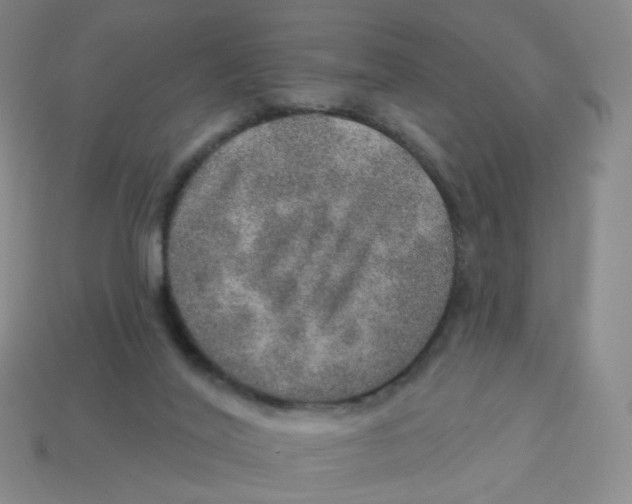 X0000113570020200910161528