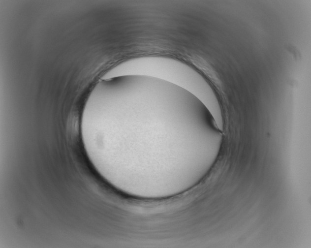 X0000113570021200910161528