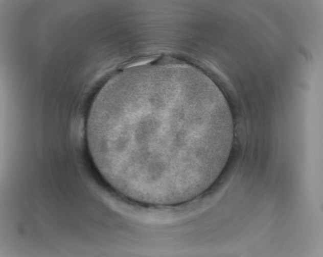 X0000113570024200910161528