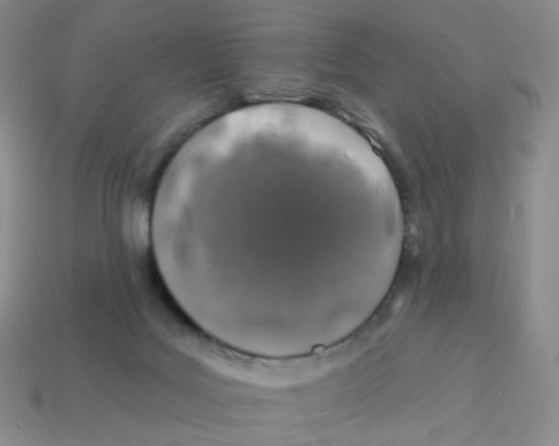 X0000113570027200910161528