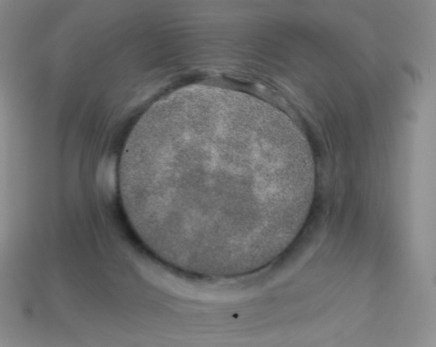 X0000113570028200910161528