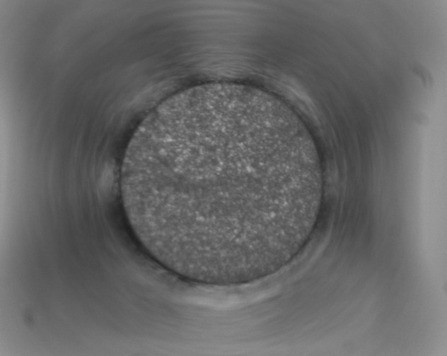 X0000113570029200910161528