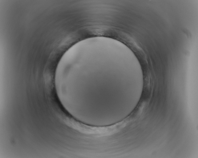 X0000113570031200910161528