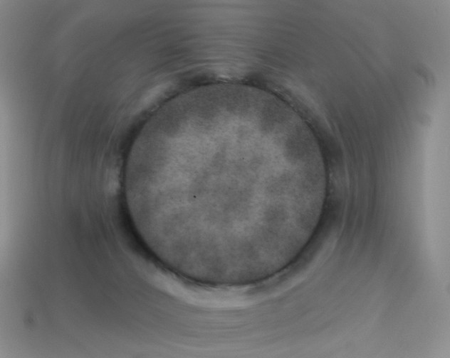 X0000113570032200910161528