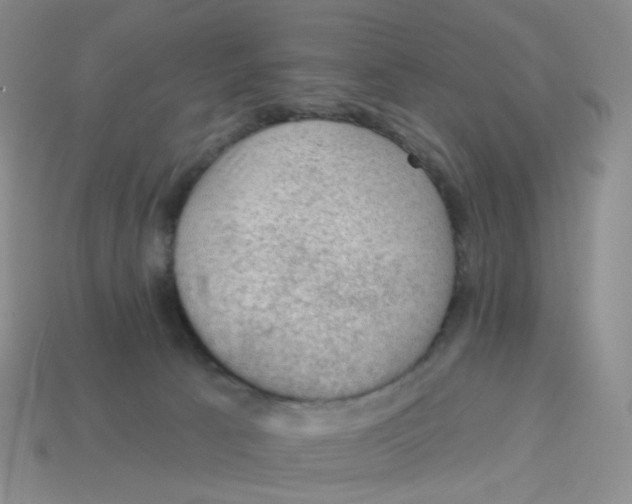 X0000113570033200910161528