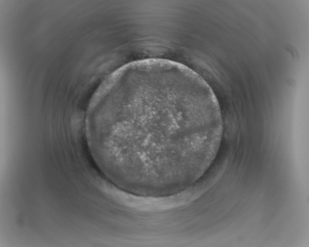 X0000113570034200910161528