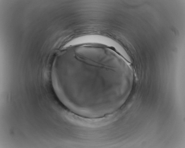 X0000113570035200910161528