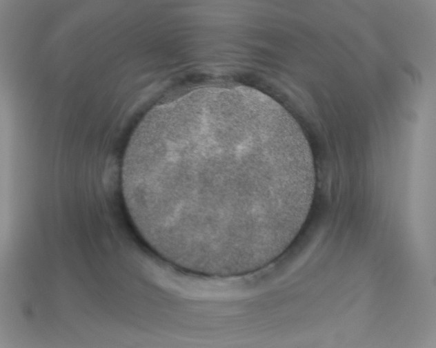 X0000113570036200910161528