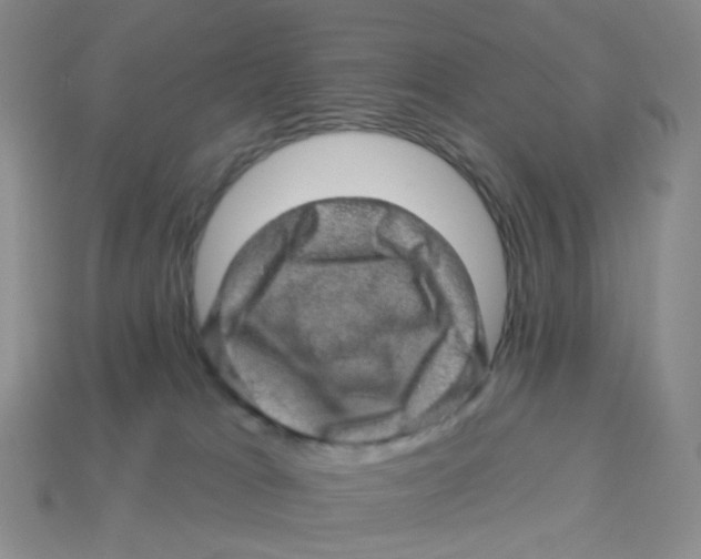 X0000113570037200910161528