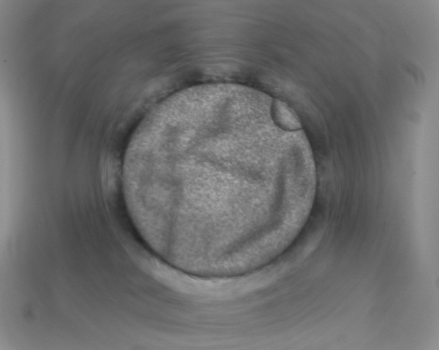 X0000113570038200910161528