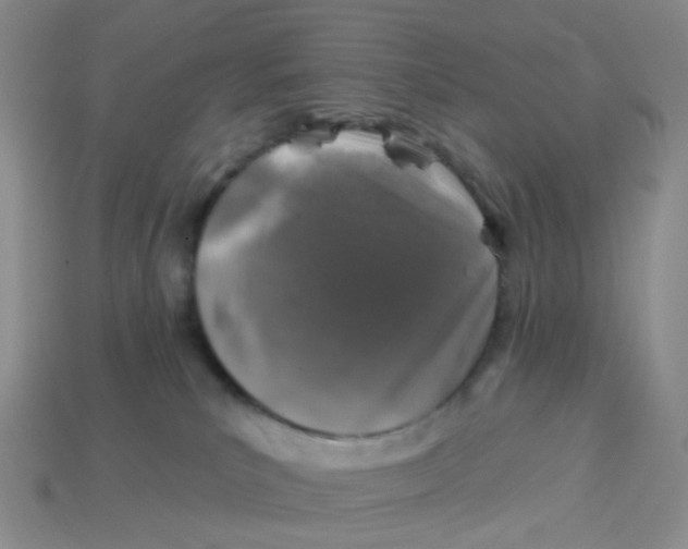 X0000113570039200910161528