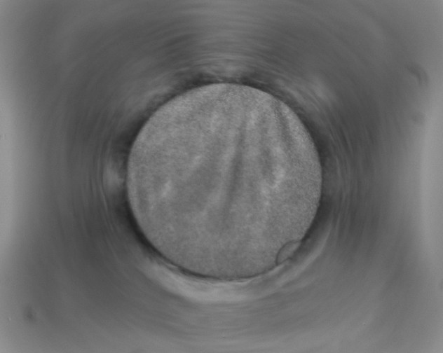 X0000113570040200910161528