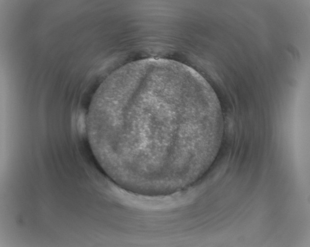 X0000113570042200910161528