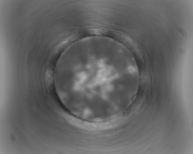 X0000113570043200910161528