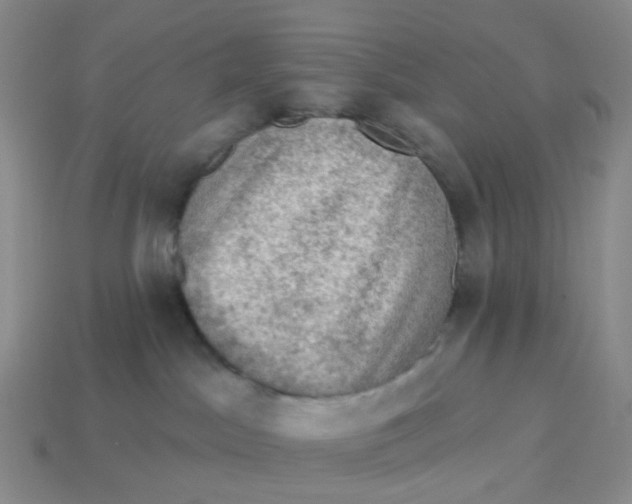 X0000113570045200910161528