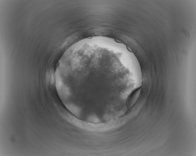 X0000113570046200910161528