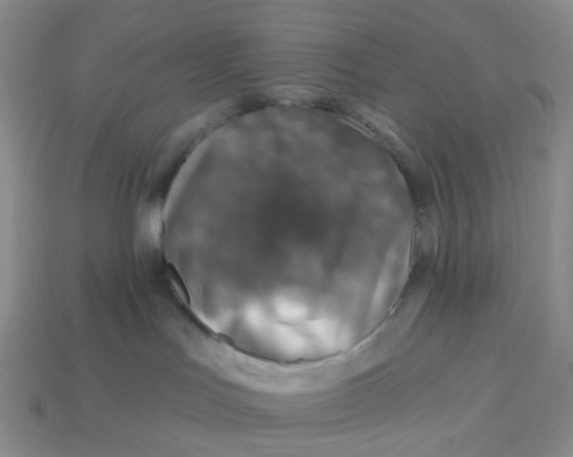 X0000113570047200910161528