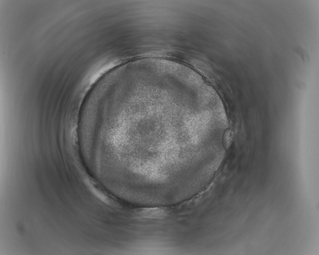 X0000113570050200910161527