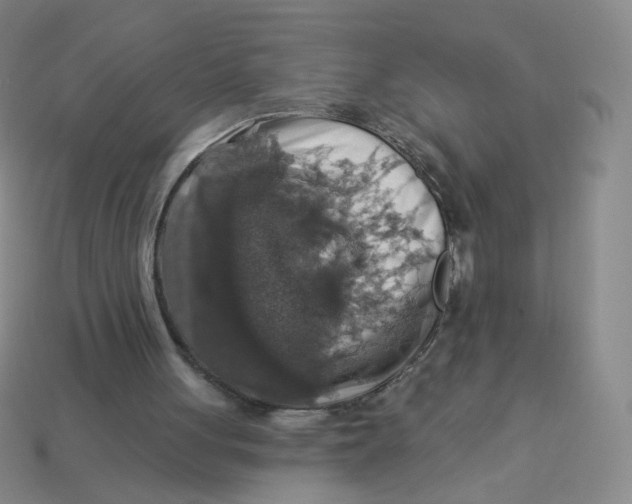 X0000113570051200910161527