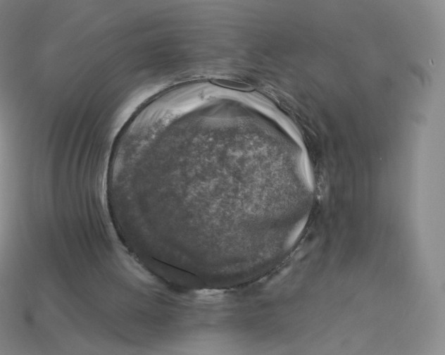 X0000113570052200910161527