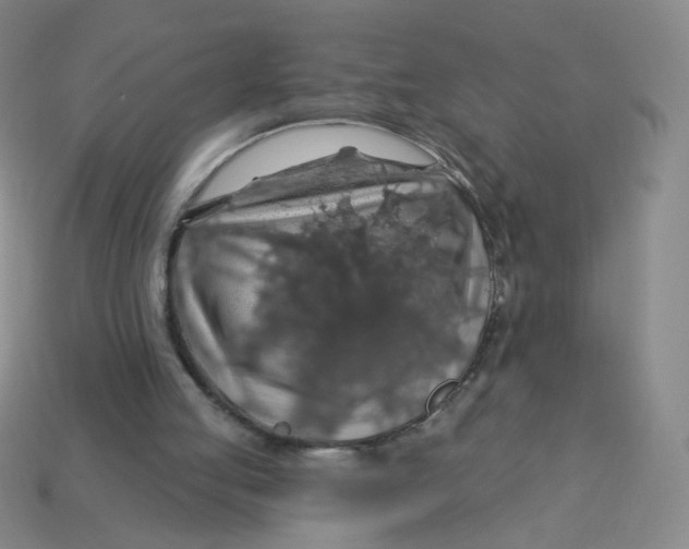 X0000113570053200910161527