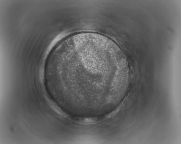 X0000113570056200910161527