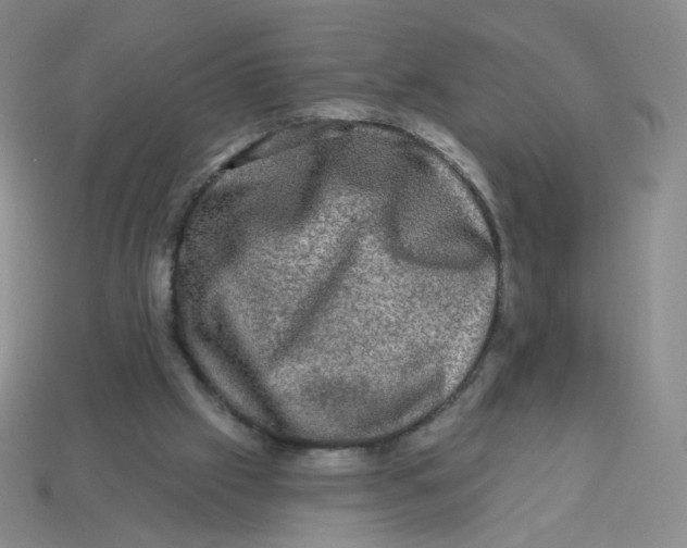 X0000113570057200910161527