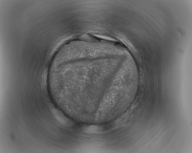 X0000113570058200910161527