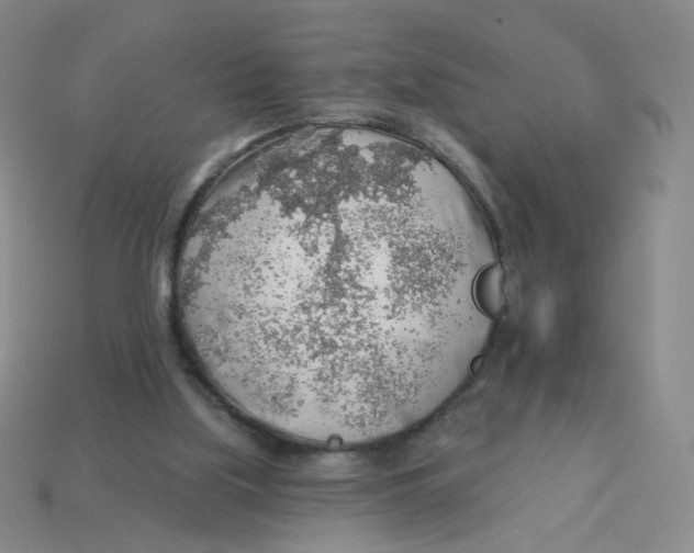 X0000113570059200910161527