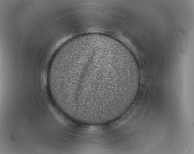 X0000113570060200910161527