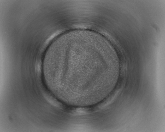 X0000113570064200910161527