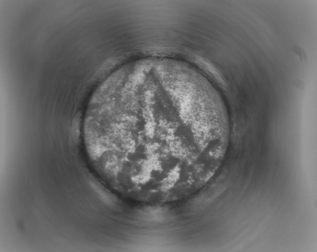 X0000113570065200910161527