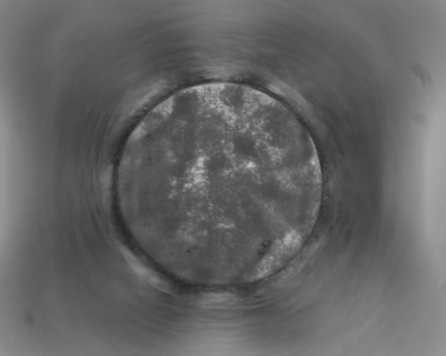 X0000113570066200910161527