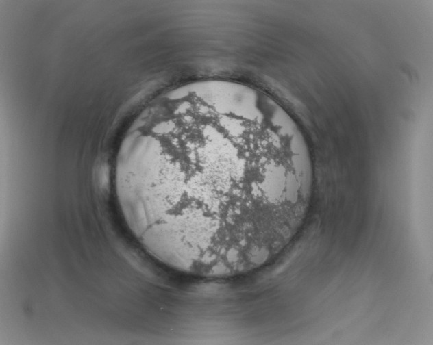 X0000113570067200910161527