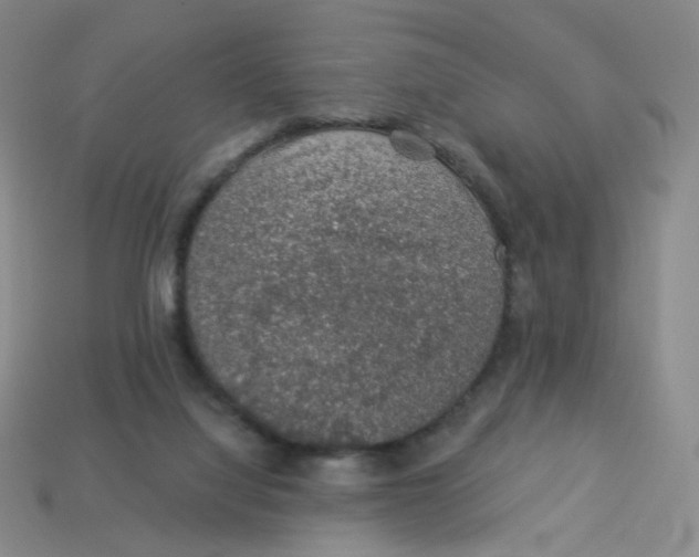 X0000113570068200910161527