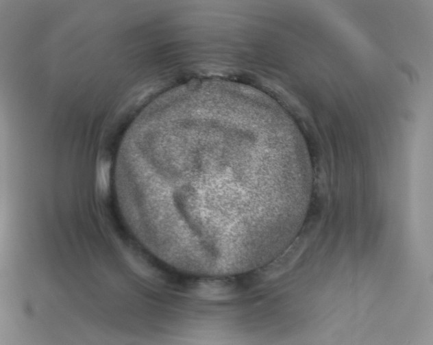 X0000113570070200910161527